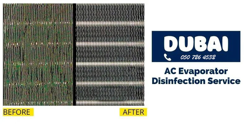 Before and After of after AC Evaporator Disinfection Service